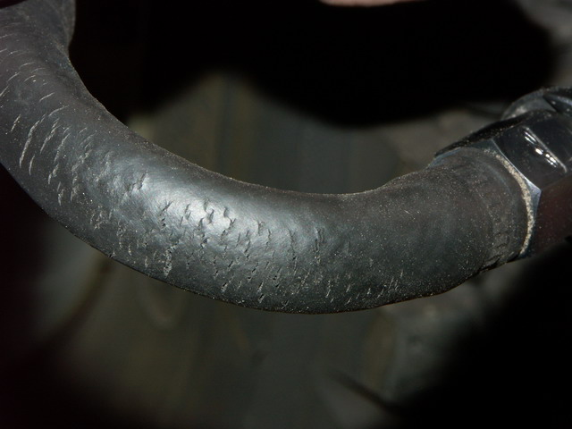 PICT5612_redimensionner.JPG
