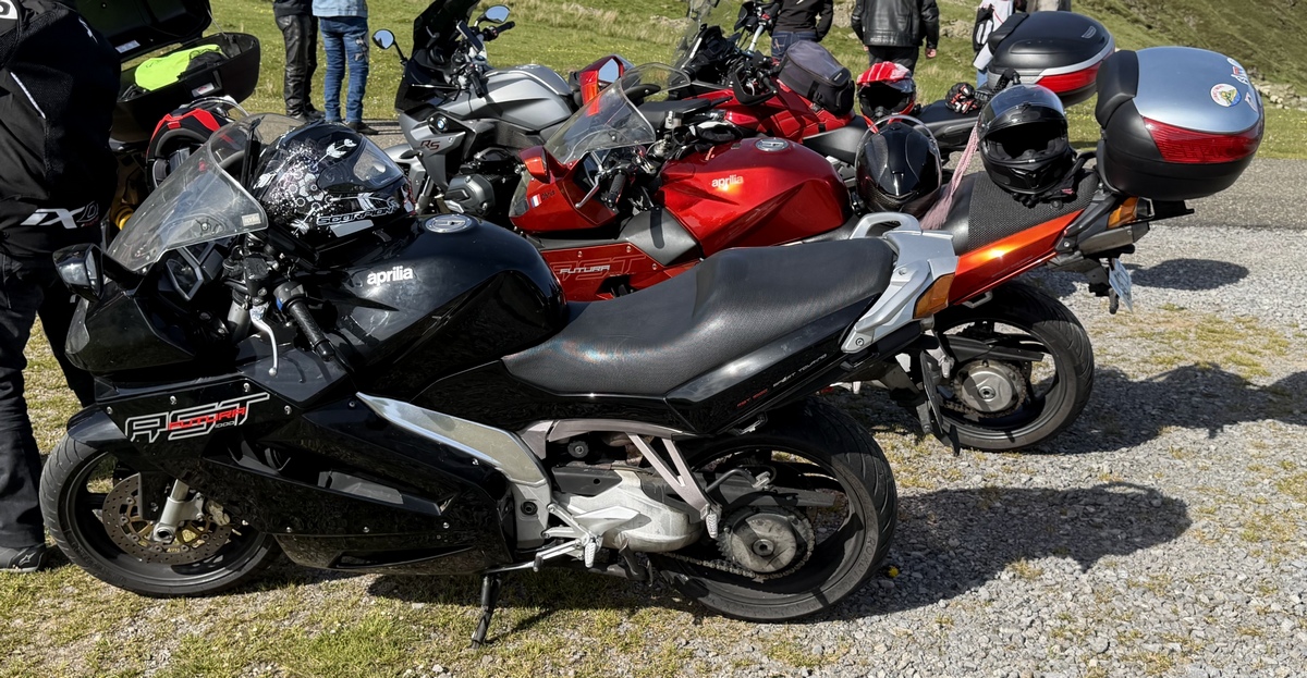IMG_7877.JPG